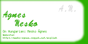 agnes mesko business card