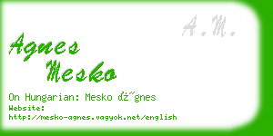 agnes mesko business card